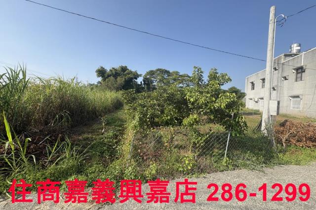 嘉義農地-6
