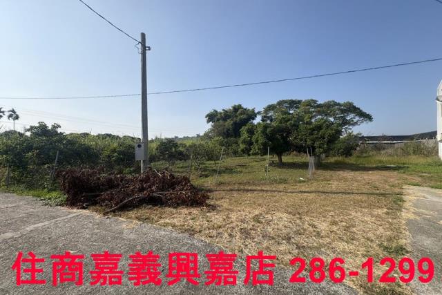 嘉義農地-7