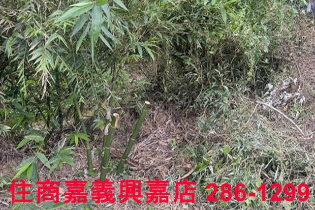 嘉義番路農地-11