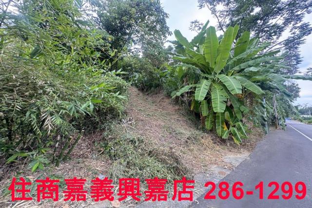 嘉義番路農地-2
