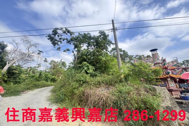 嘉義番路農地-3