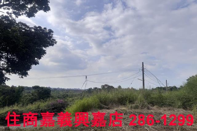 嘉義番路農地-4