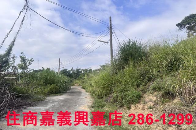 嘉義番路農地-6
