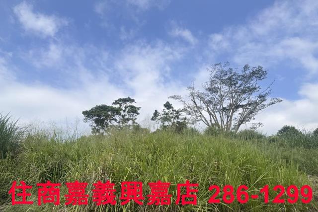 嘉義番路農地-9