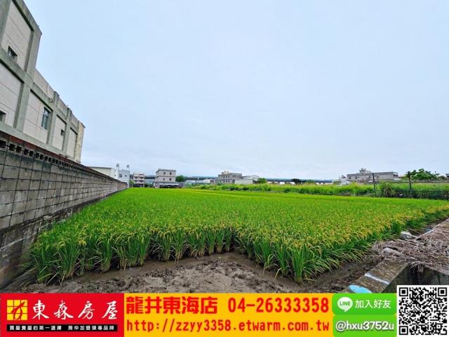 台中大肚農地-3