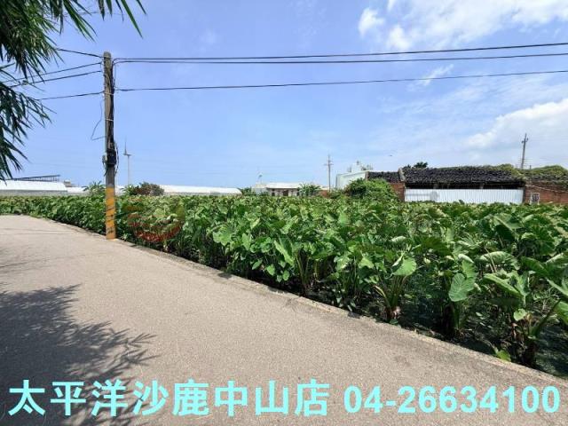 台中大甲農地-8