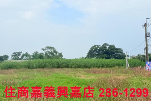 水上農地-7