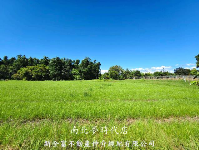 仁德農地-4