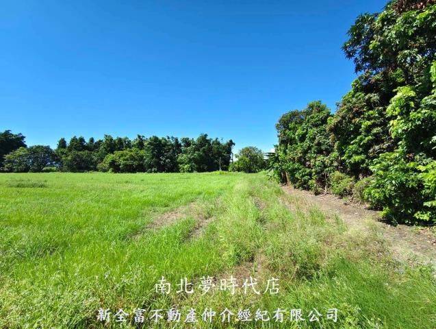 仁德農地-5