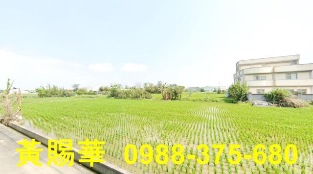 桃園農地-6