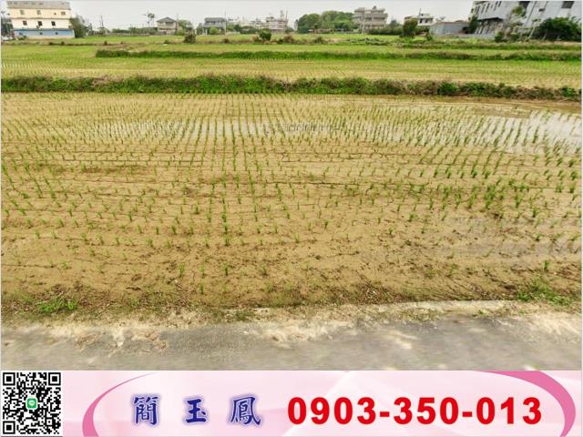 桃園農地-1