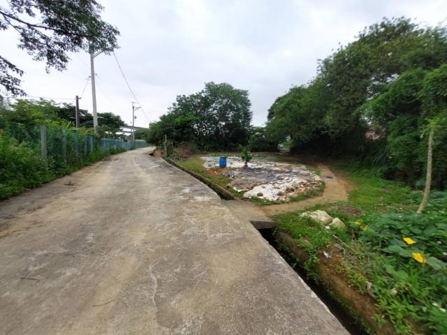 桃園平鎮農地-5