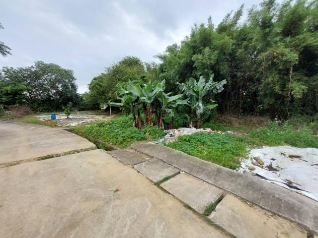 桃園平鎮農地-6