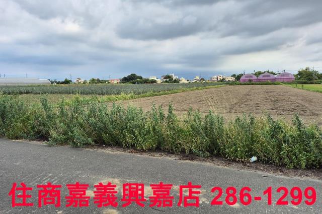 嘉義民雄農地-2