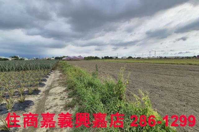 嘉義民雄農地-6