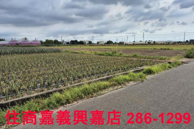 嘉義民雄農地-7
