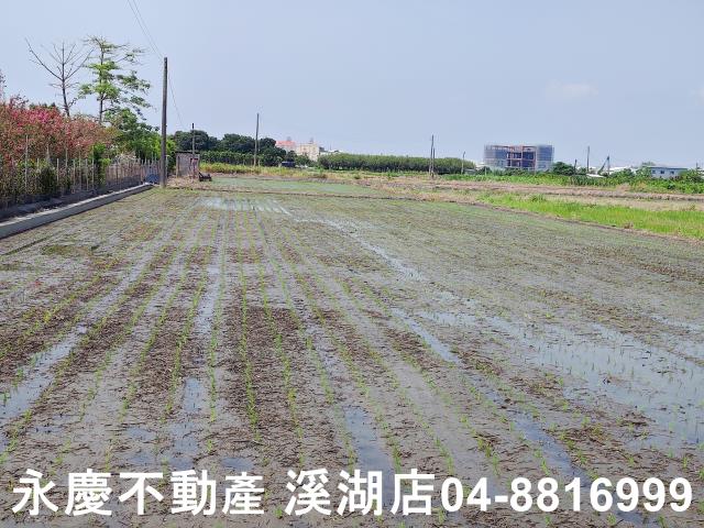 彰化北斗農地-1