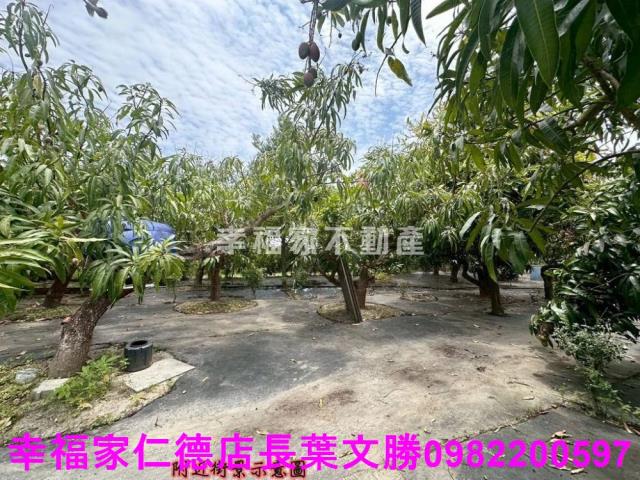 台南安定農地-3