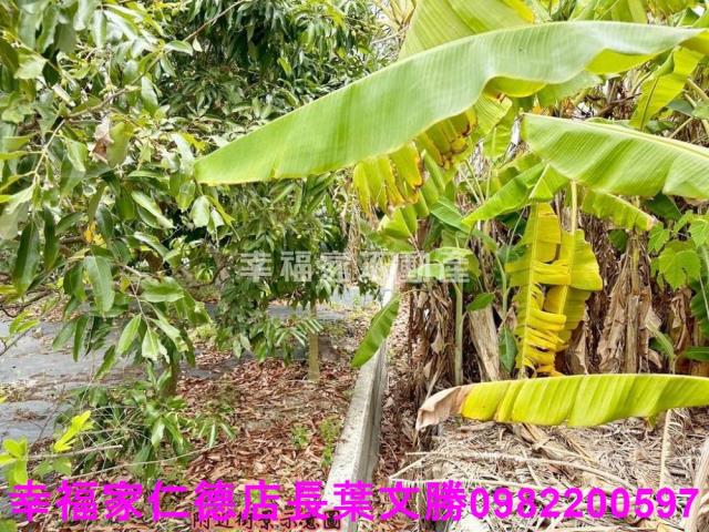 台南安定農地-6