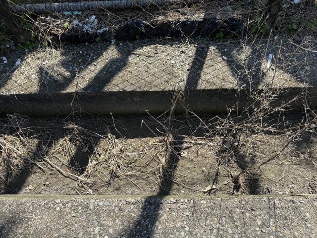屏東內埔農地-5