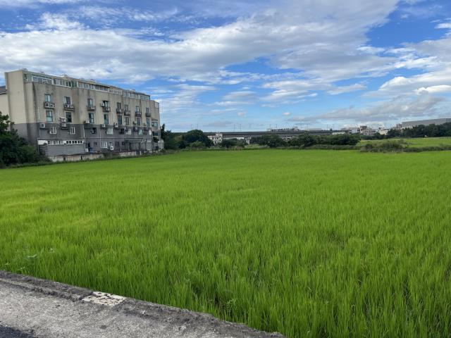 蘆竹農地-2