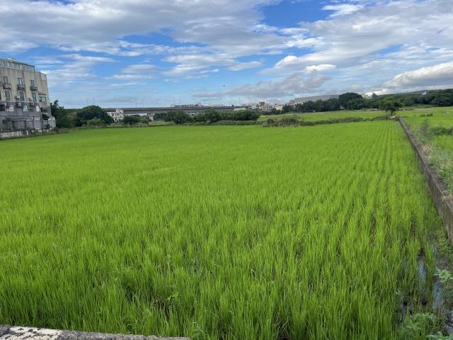 蘆竹農地-3