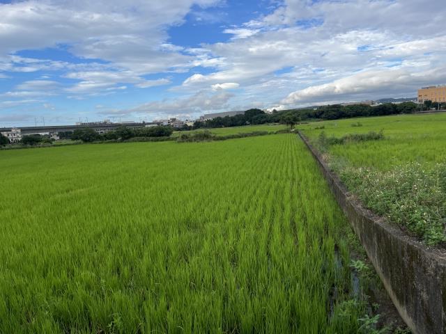 蘆竹農地-4