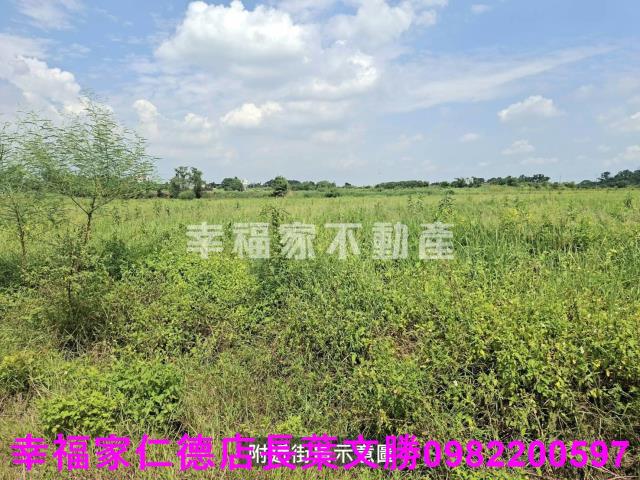 官田農地-4