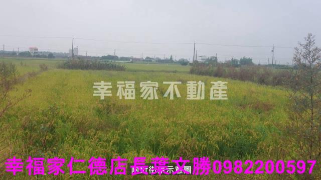 柳營農地-6
