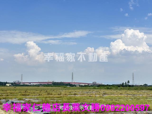 新市農地-3