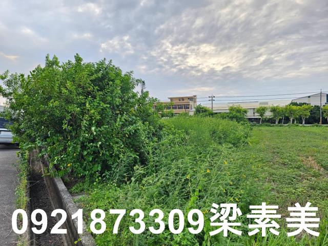 台南七股農地-4