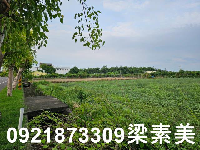 台南七股農地-6