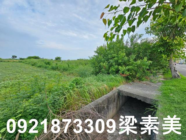 台南七股農地-7