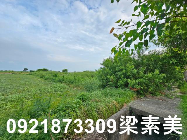 台南七股農地-8