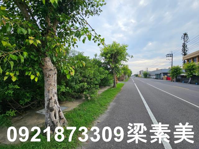 台南七股農地-9