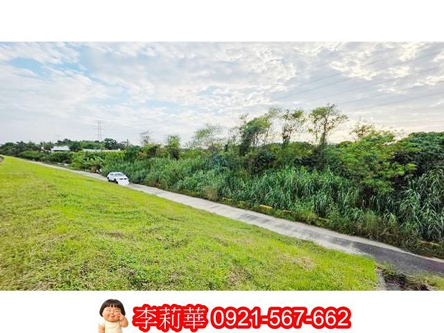 台南大內農地-9