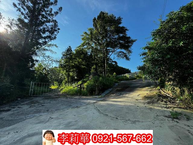 台南大內農地-2