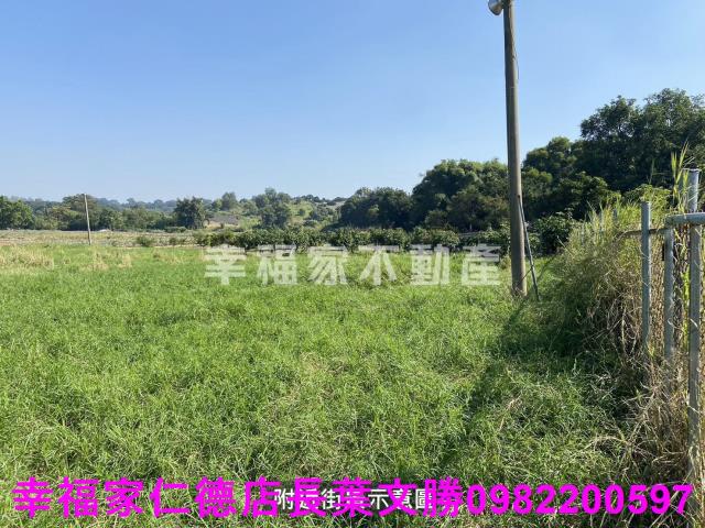 台南關廟農地-9