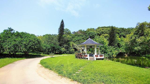 苗栗造橋農地-1