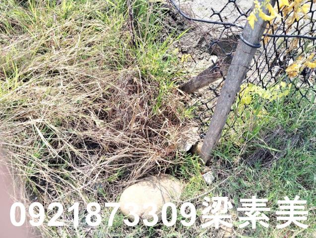 安南建地-4