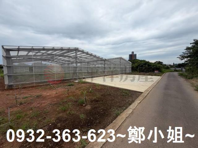 大園農地-0