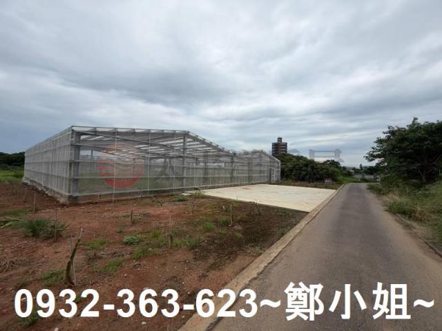 大園農地-1