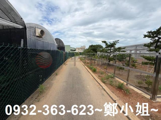 大園農地-2