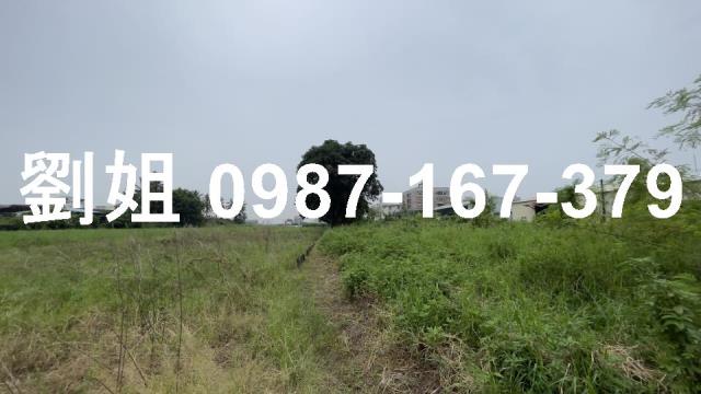 仁德農地-0