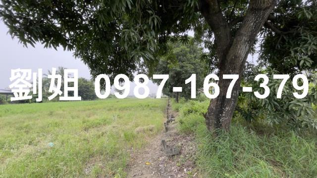 仁德農地-1