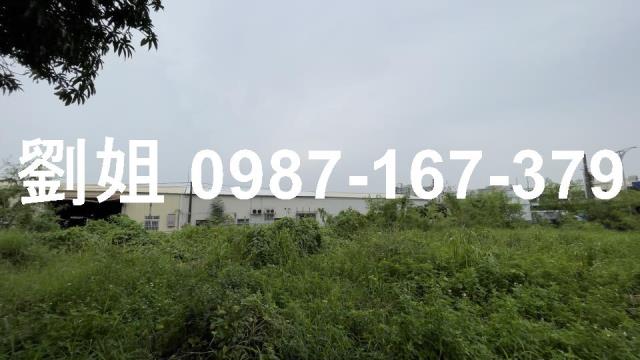 仁德農地-2