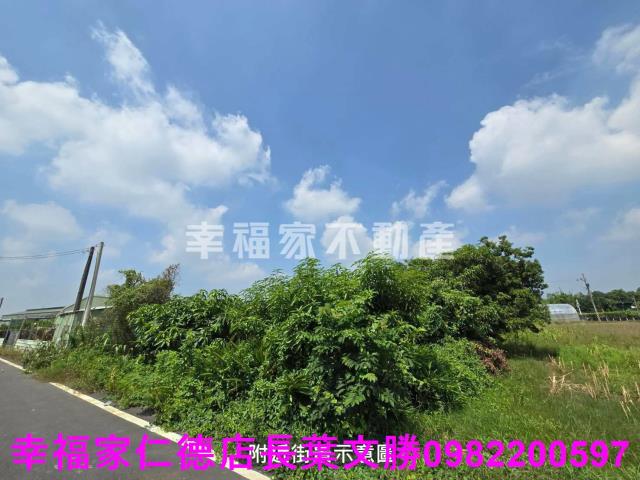 善化農地-10