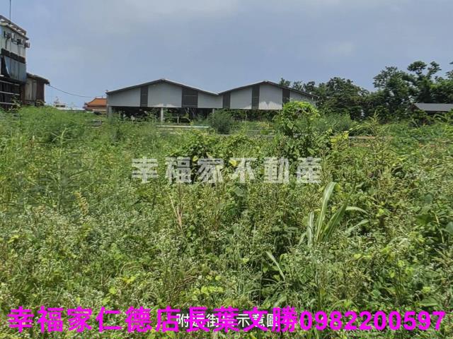 新營農地-12