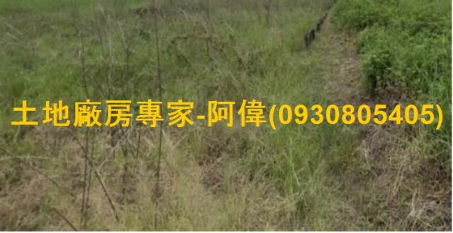 仁德農地-0
