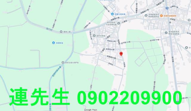 湖內法拍建地-6